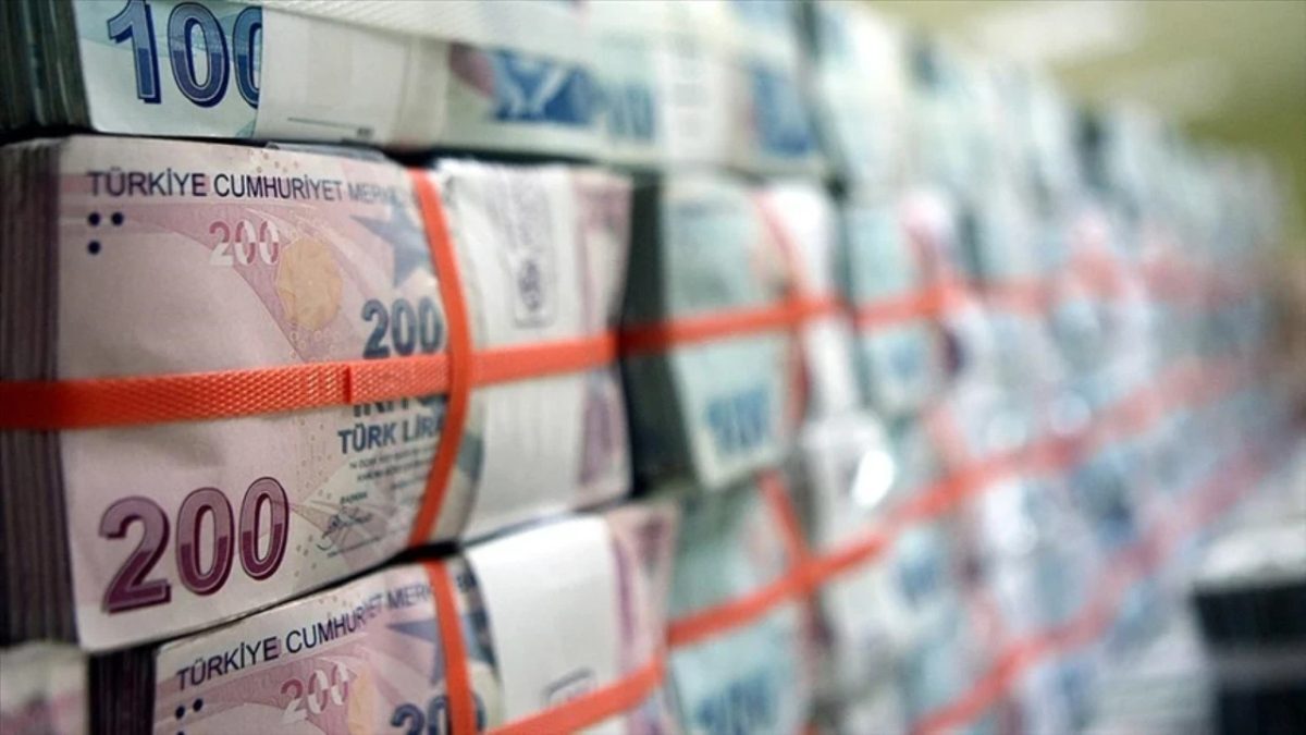 Hazine, iki yıl vadeli devlet tahvili ihalesi düzenliyor