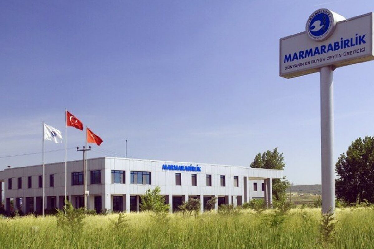 Marmarabirlik, zeytin ihracatında Orta Doğu pazarına odaklandı