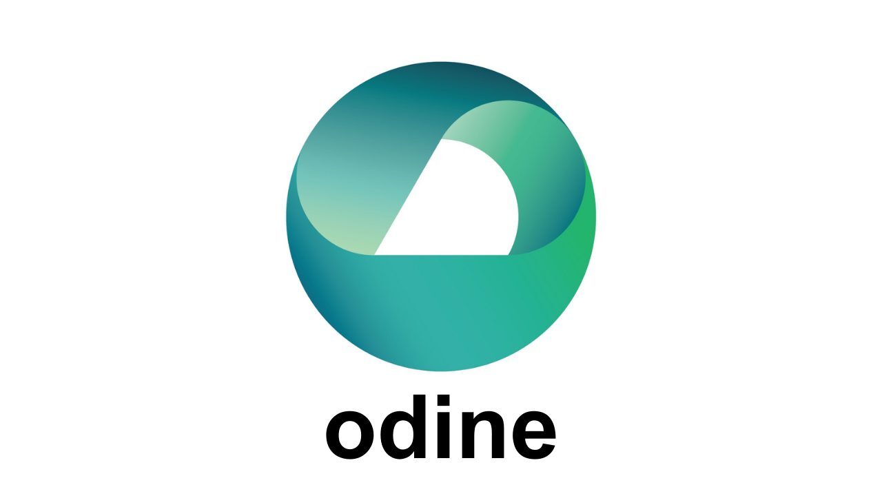 Odine Teknoloji, BİST100'de ilk 10'a girdi ve hissesini yüzde 2196 artırdı